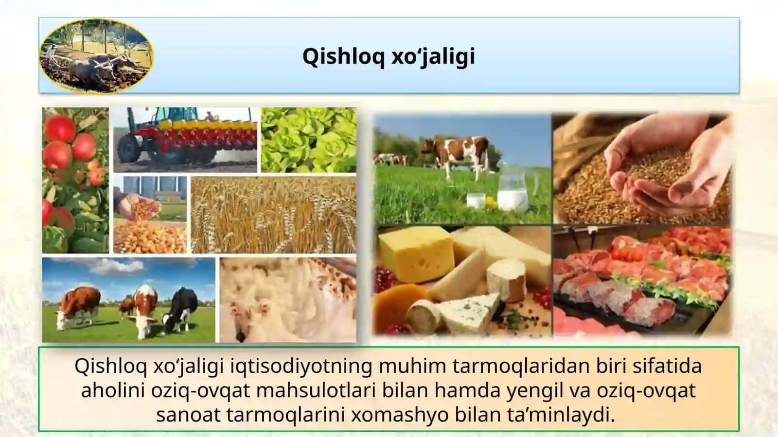 Qishloqxo‘jaligi 3