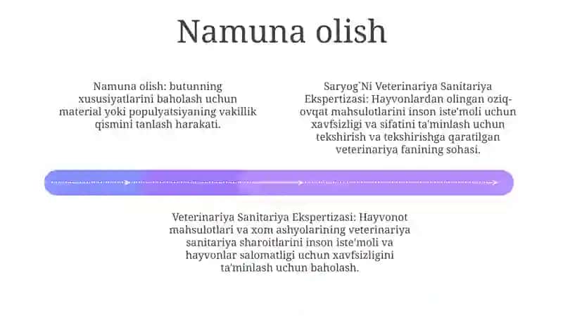 Saryog'Ni Veterinariya Sanitariya Ekspertizasi 3