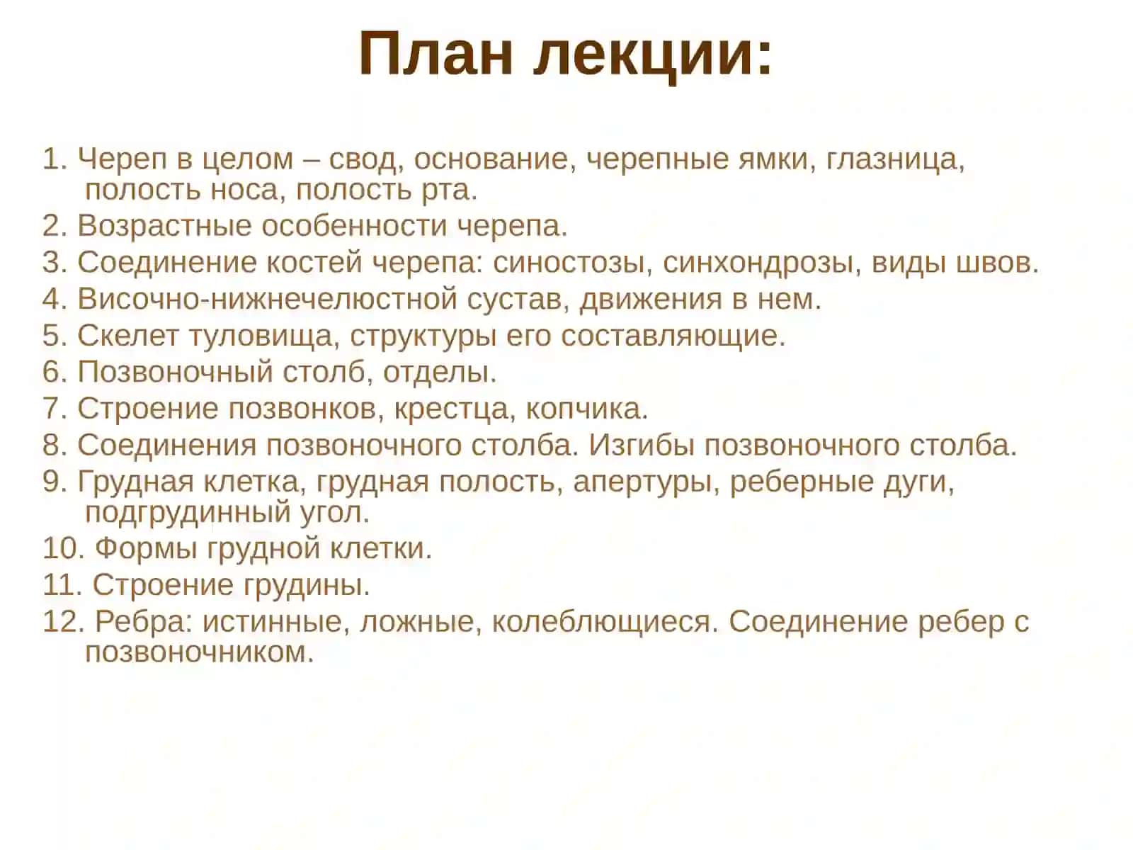 Кости черепа. Скелет туловища 3