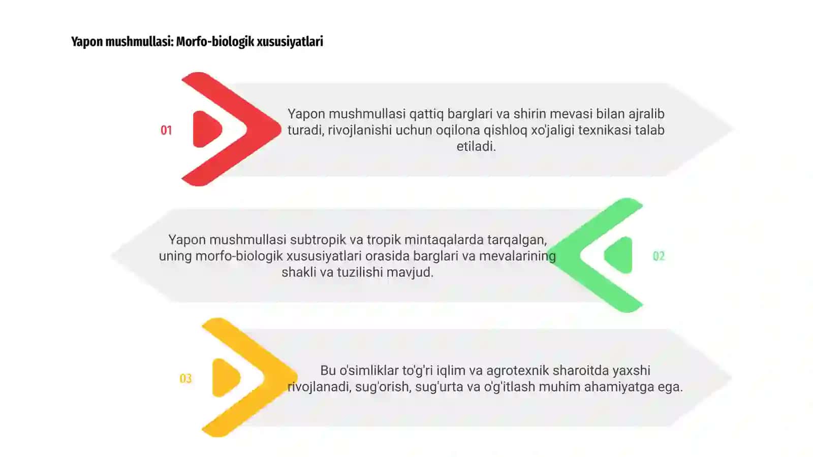 Yapon mushmullasi: Morfo-biologik xususiyatlari 3