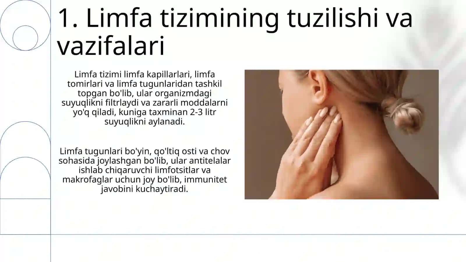 Limfa tizimi va Immun tizimi 3