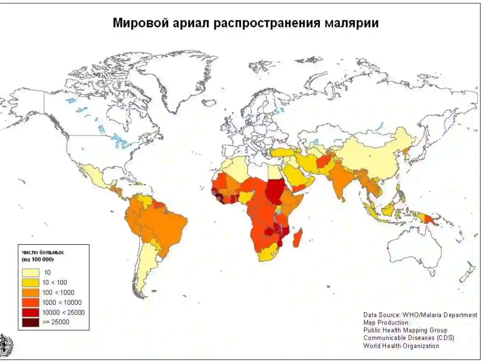 Bezgak kasalligi qozg'atuvchisi 3