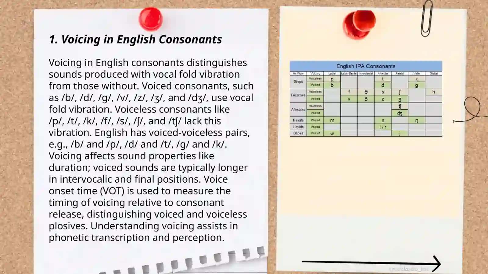Classification of English Consonants 3
