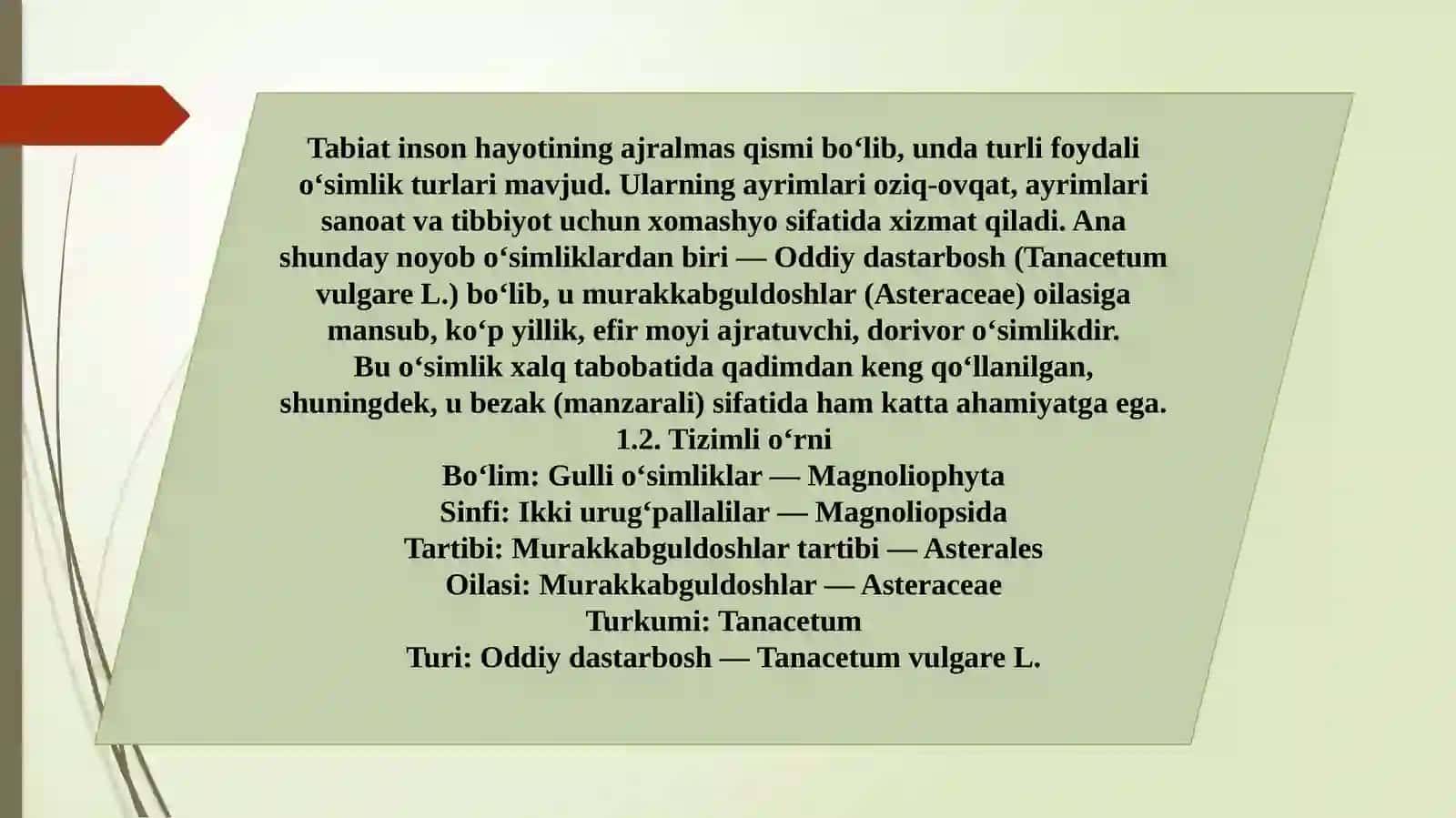 Oddiy dastarbosh o‘simligi 3