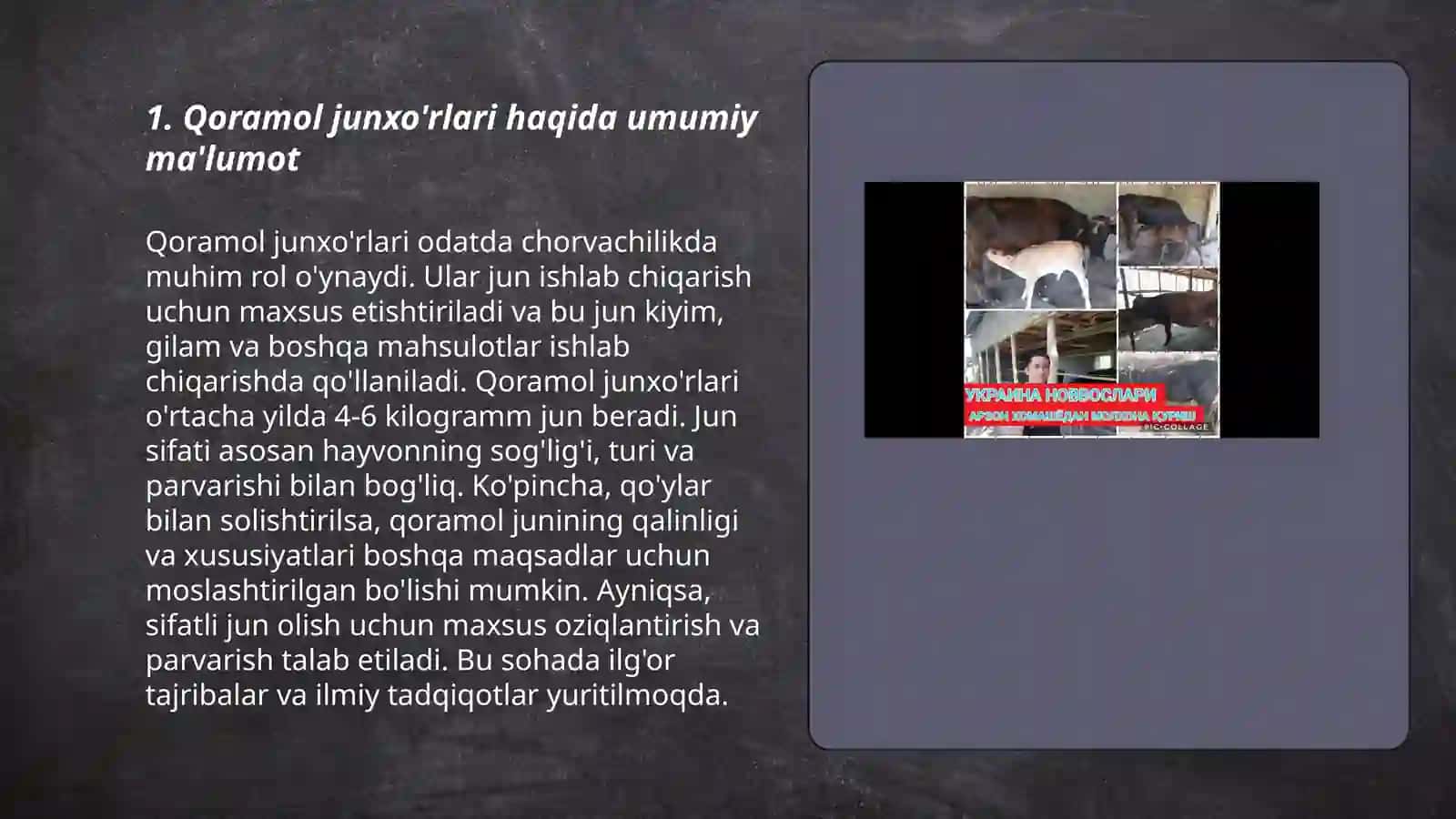 Qoramol junxo'rlari 3
