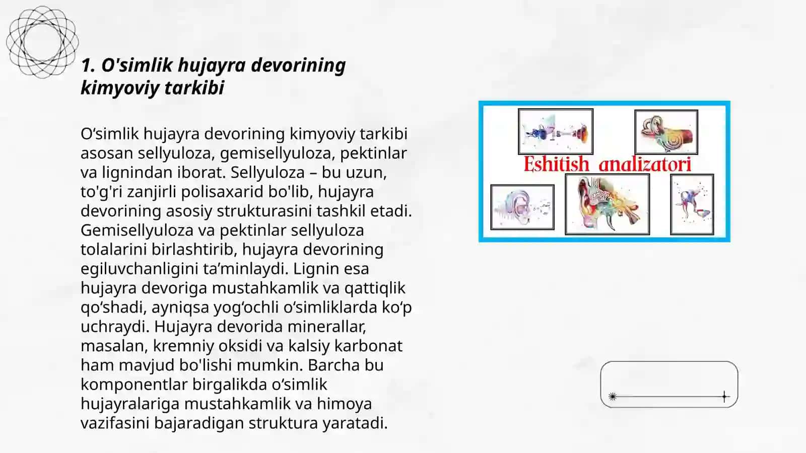 Eshitishning sitologik mexanizmlari 3