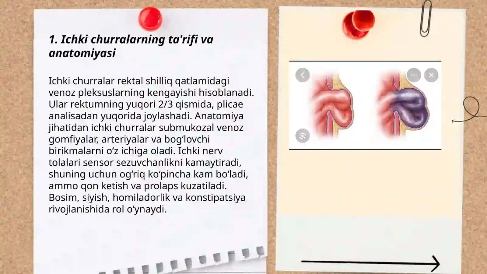 Ichki churralar 3