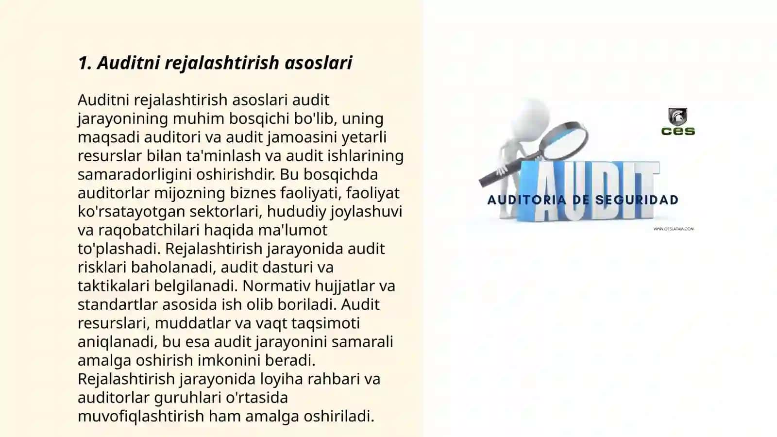 Auditini rejashtiriahning bosqichlari 3