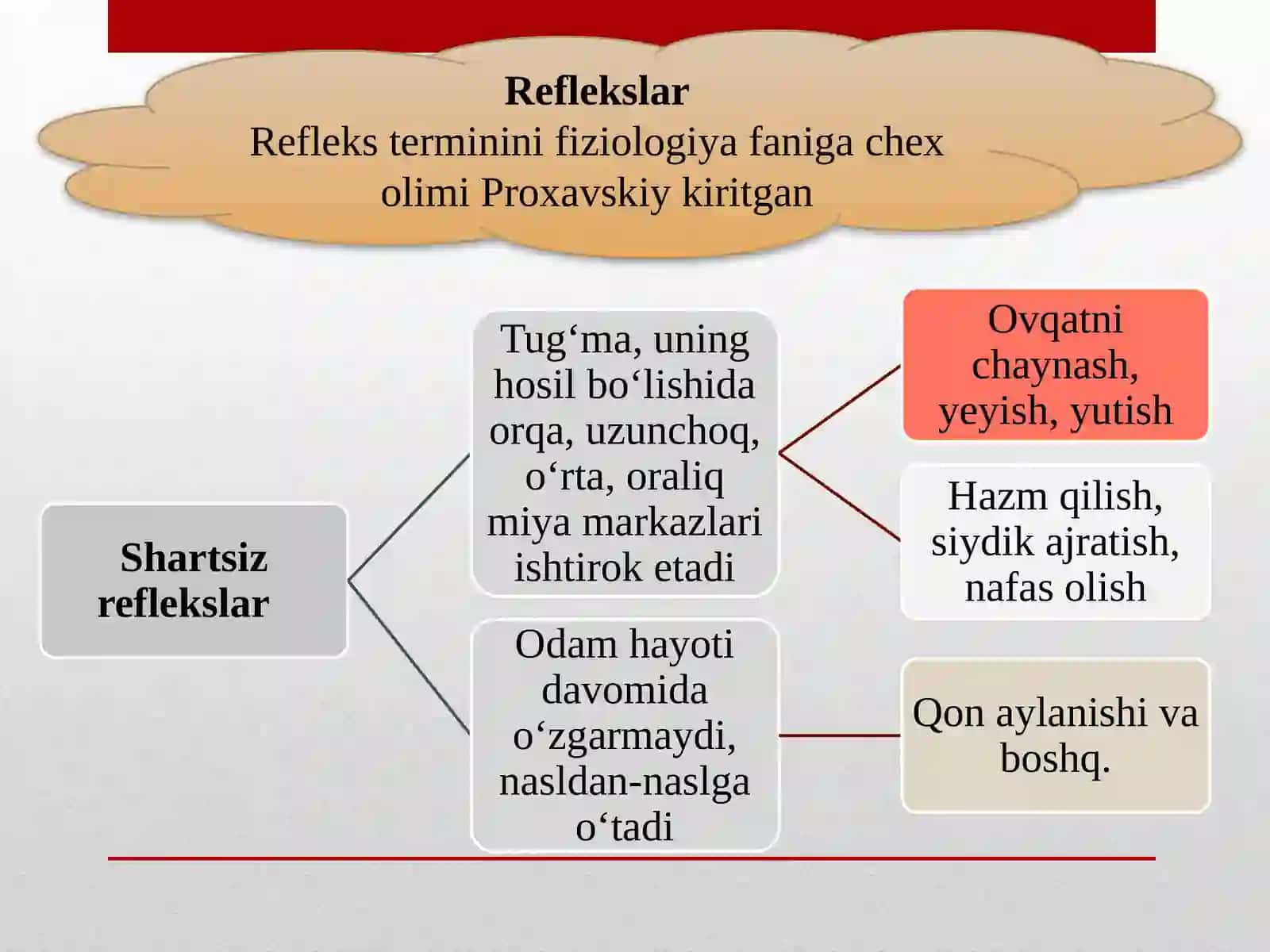 Oliy nerv faoliyati 3