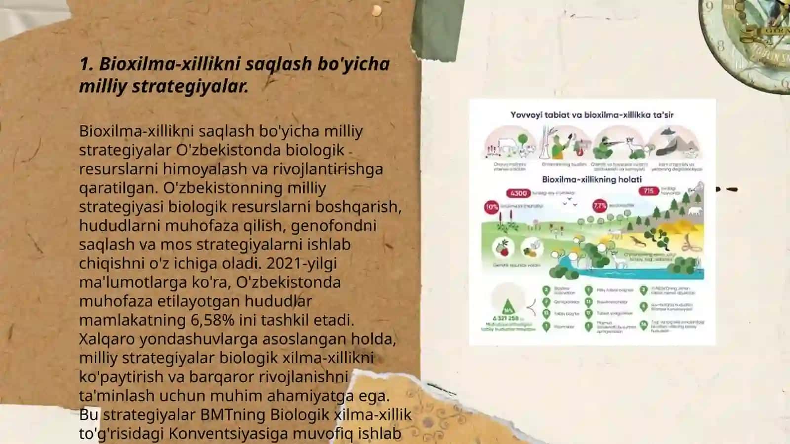 Bioxilma-xillikni saqlash bo'yicha milliy strategiyalar 3