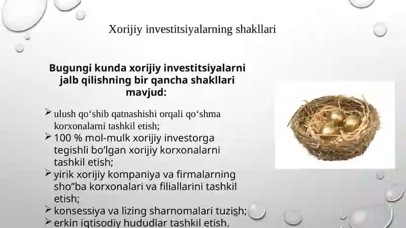 Xorijiy investitsiyasi 3