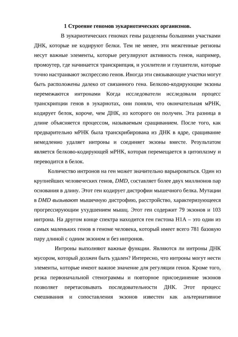 Структура генома эукариот 3
