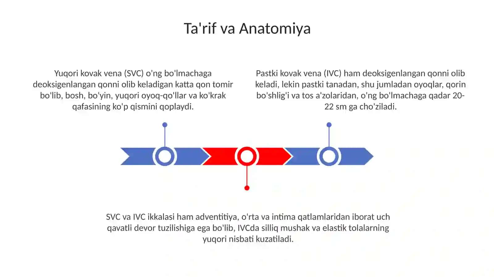 Yuqori va pastki kovak venalar 3