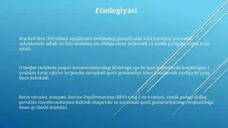 Qoramollar surunkali gematuriyasi 3
