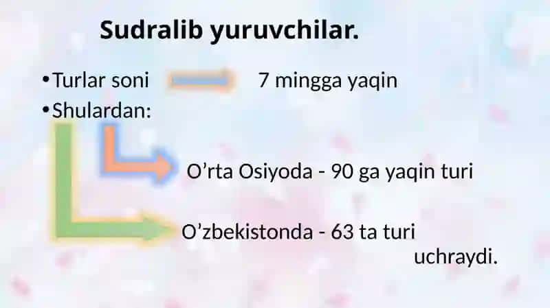 Reptiliyalarning sistematikasi 3