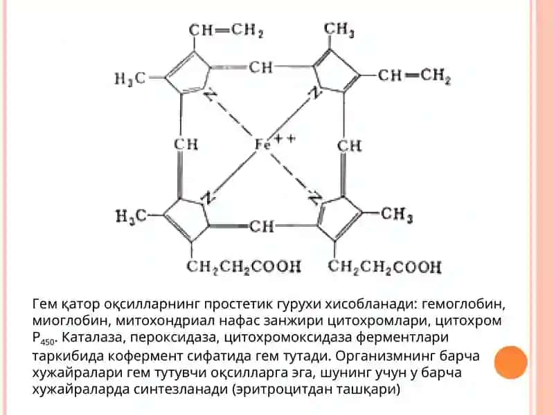 Гем метаболизми ва темир алмашинуви 3