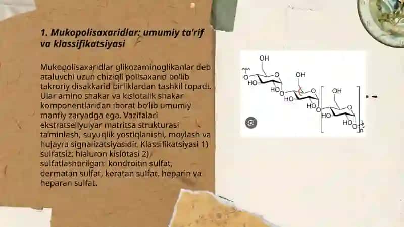 Mukopolisaxaridlar va ularning tuzilishi 3