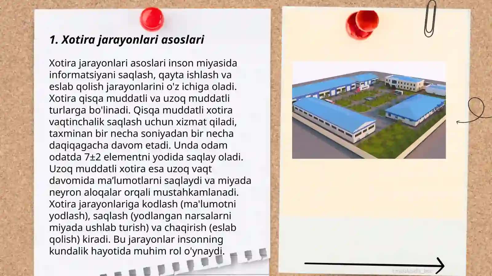 Xotira jarayonlari va turlarini yoritish 3