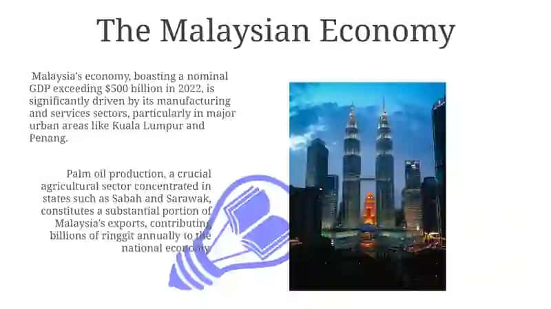 Palm oil production in Malaysia 3
