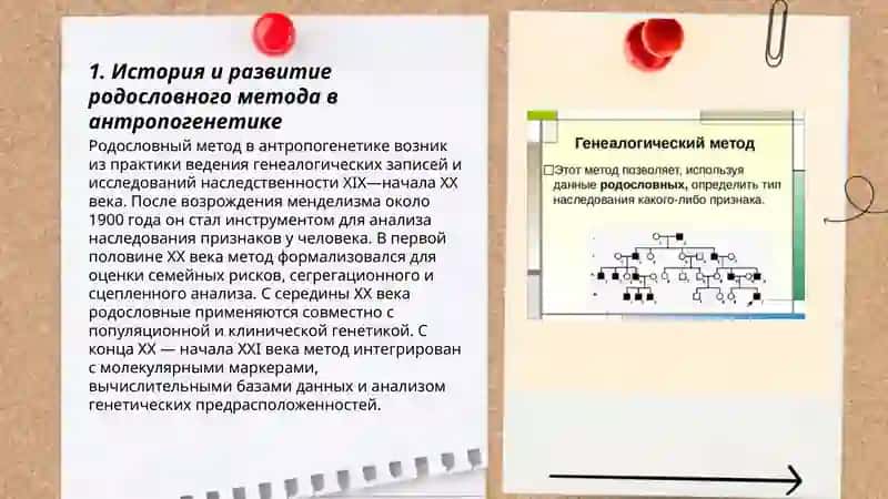 Методы антропогенетики: генеалогический метод 3