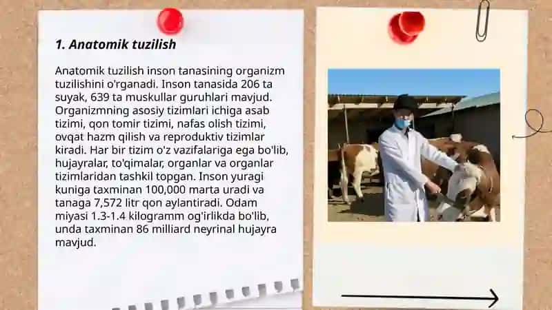 Veterinariya atamalari 3