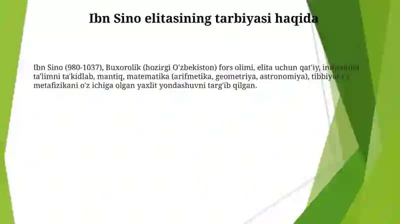 Abu Ali ibn Sino ta'lim-tarbiyasi 3