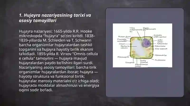 Hujayra tuzulishi 3