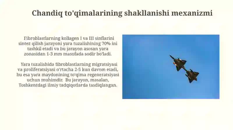 Fibroblastlarning jarohatining bitishi va chandiq hosil bölishi 3