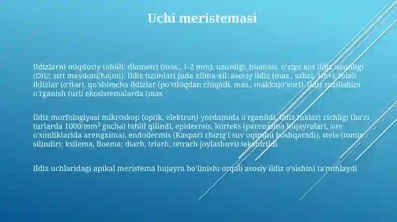 Ildizning marfologik tuzilishini urganish 3