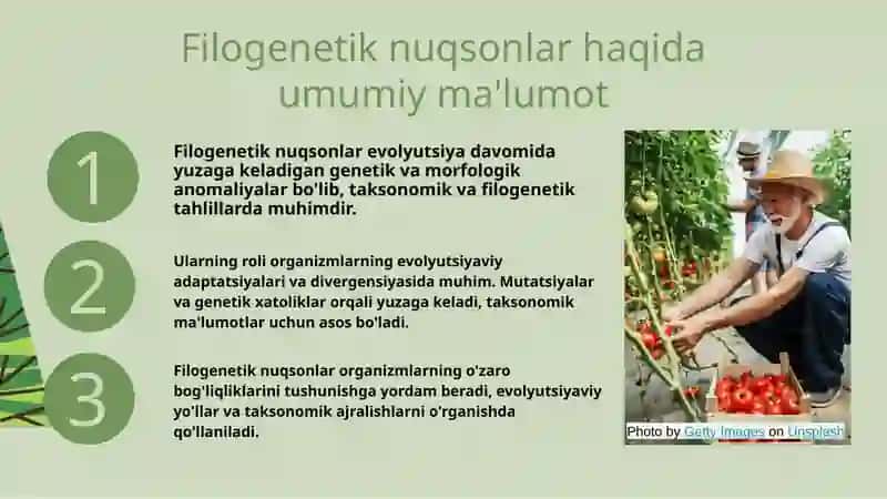 Odamlarda rivojlanishning filogenetik nuqsonlari 3