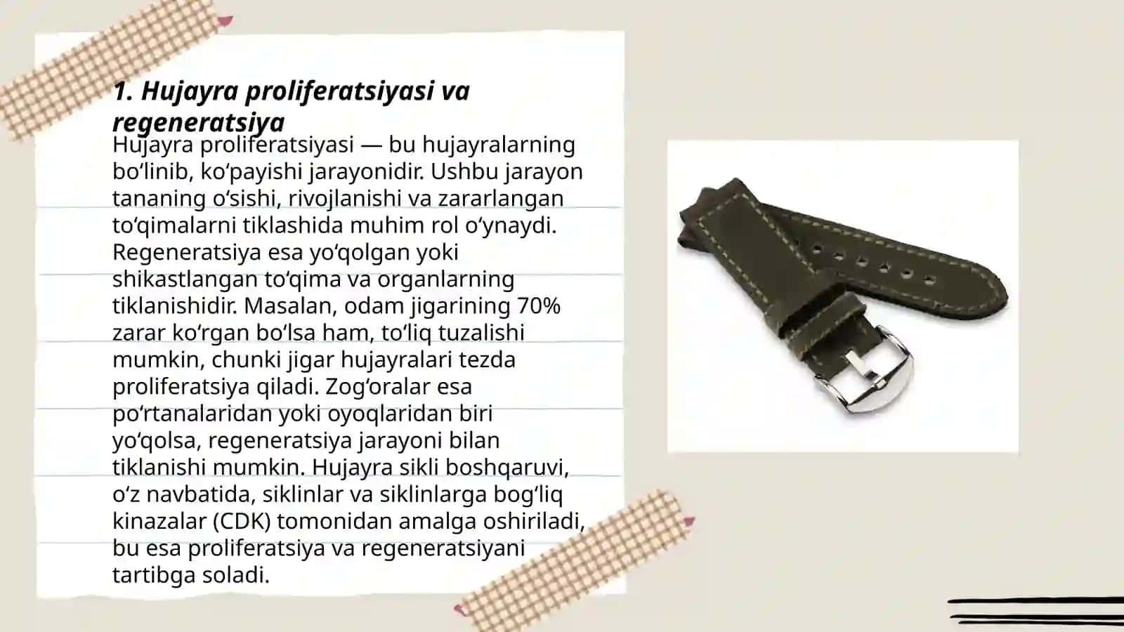 Hujayradanfoddalar, energiya va ma'lumotlar oqiní 3