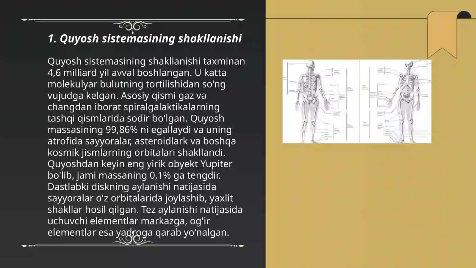 A'zolar sistemasi ontofilogenezi sklet 3