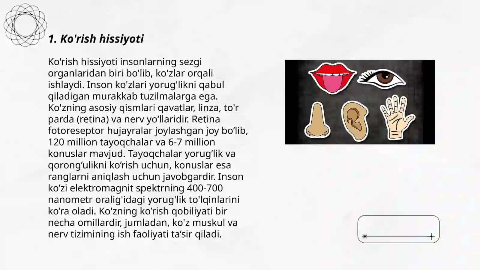Ko'rish hissiyoti 3