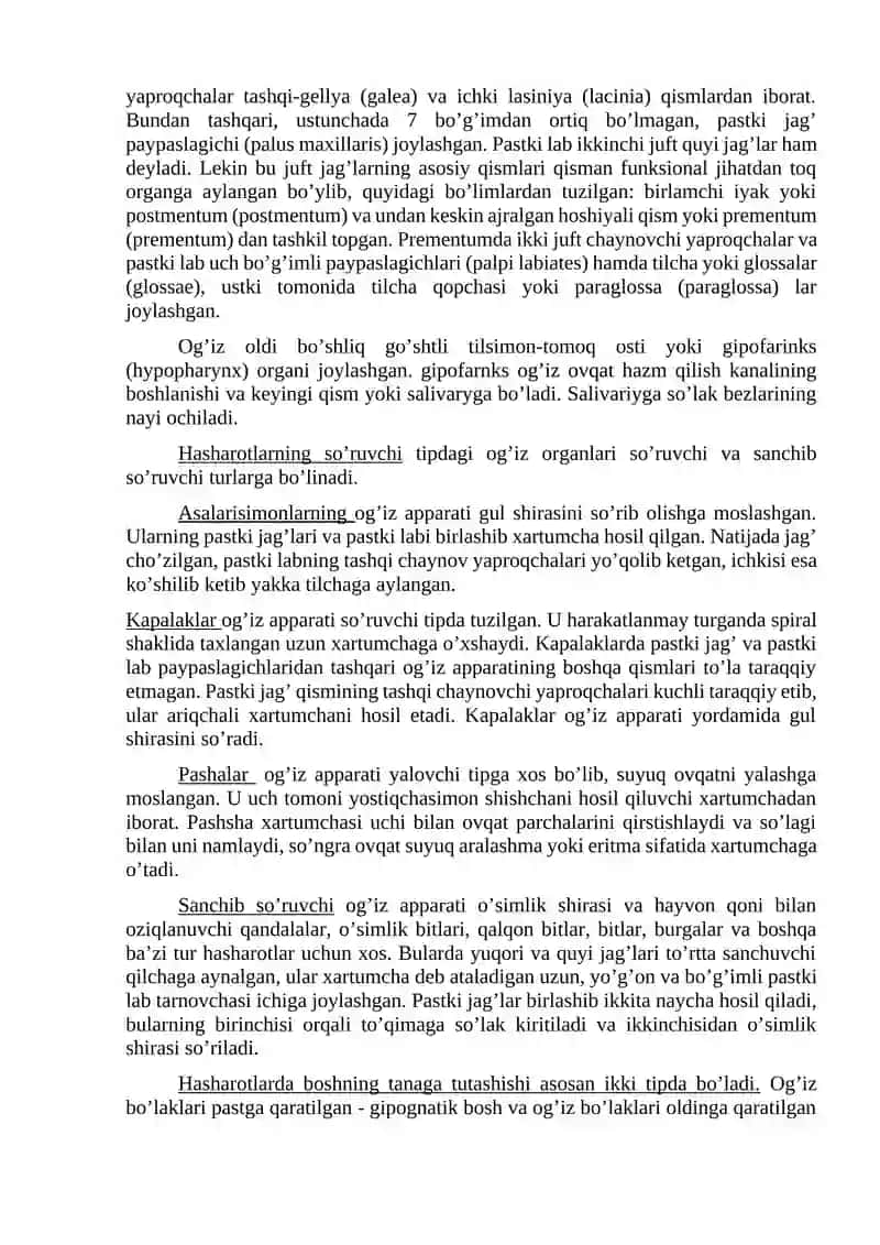 Hasharotlarning morfologik belgilari 3