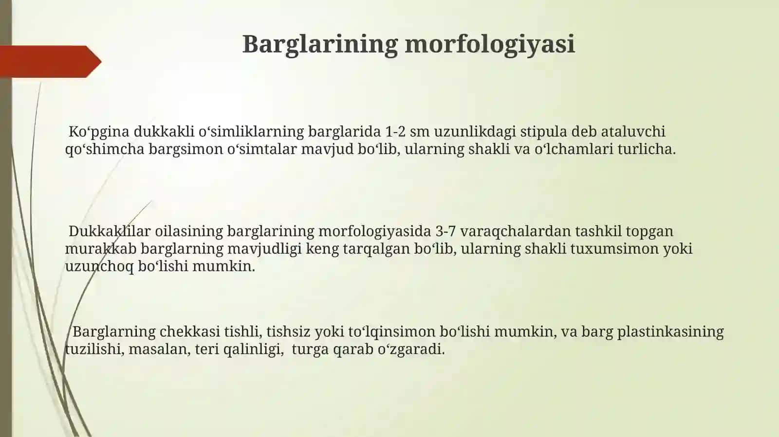 Burchoqdoshlar oilasining sistematik belgilari 3