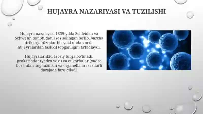 Hujayrabialogiyasi 3