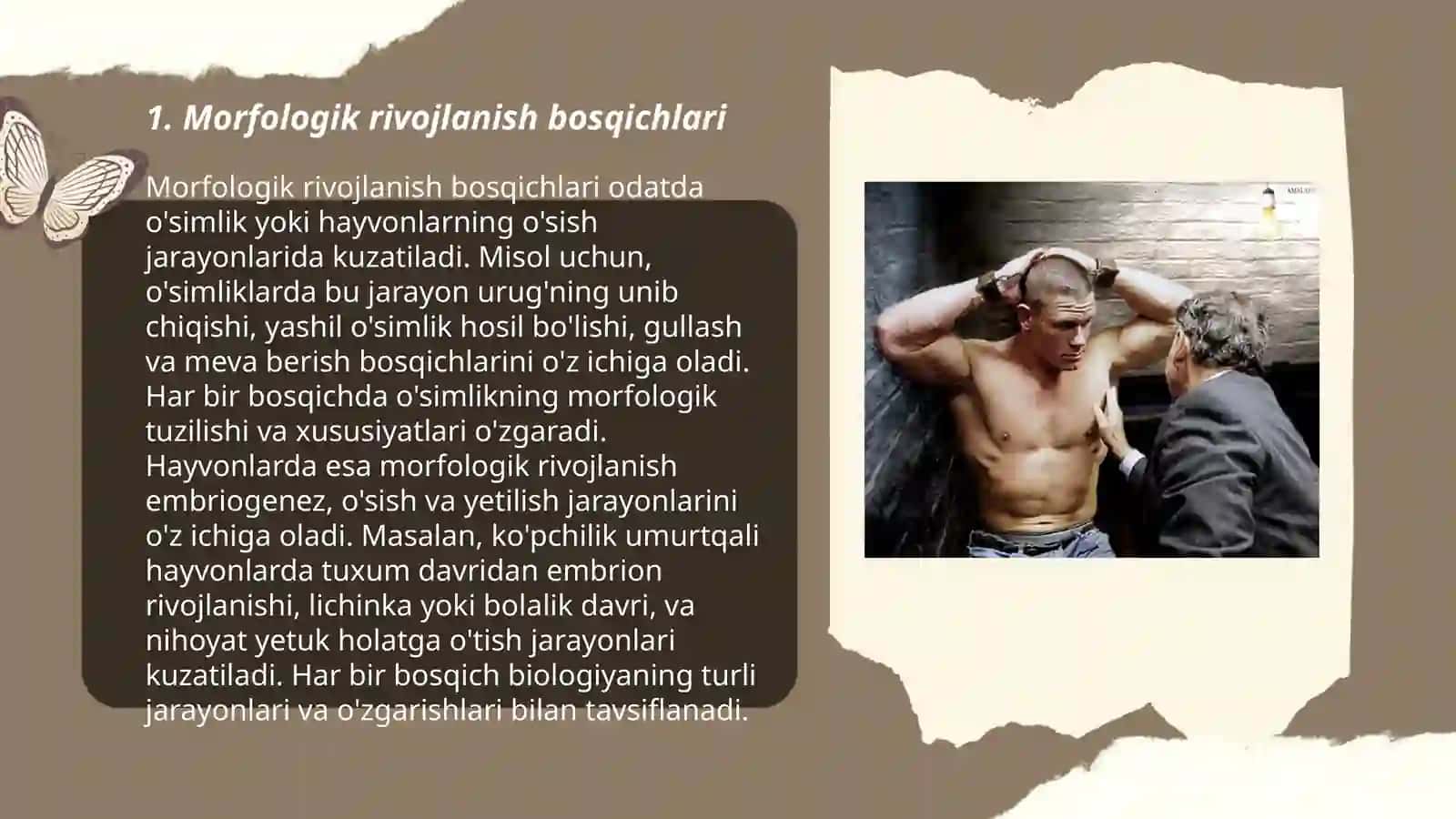 Morfologik rivojlanish bosqichlari 3
