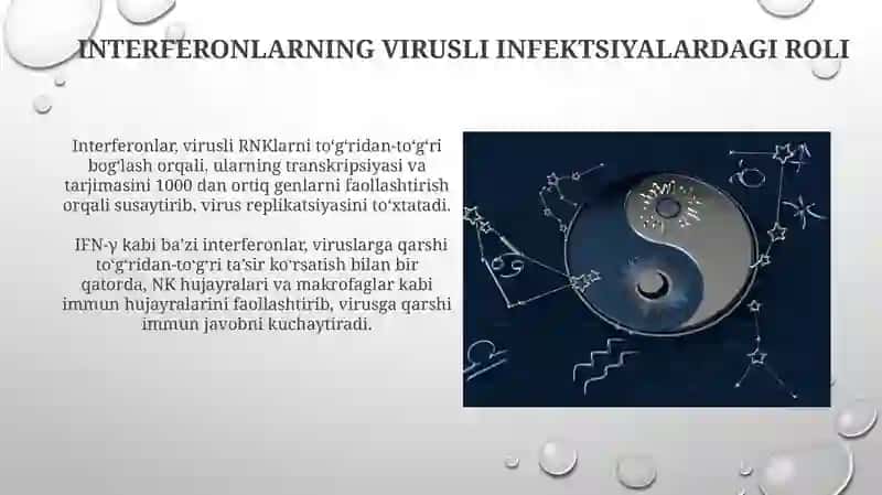 Interferonlar va Sitokinlarning Sintezi 3