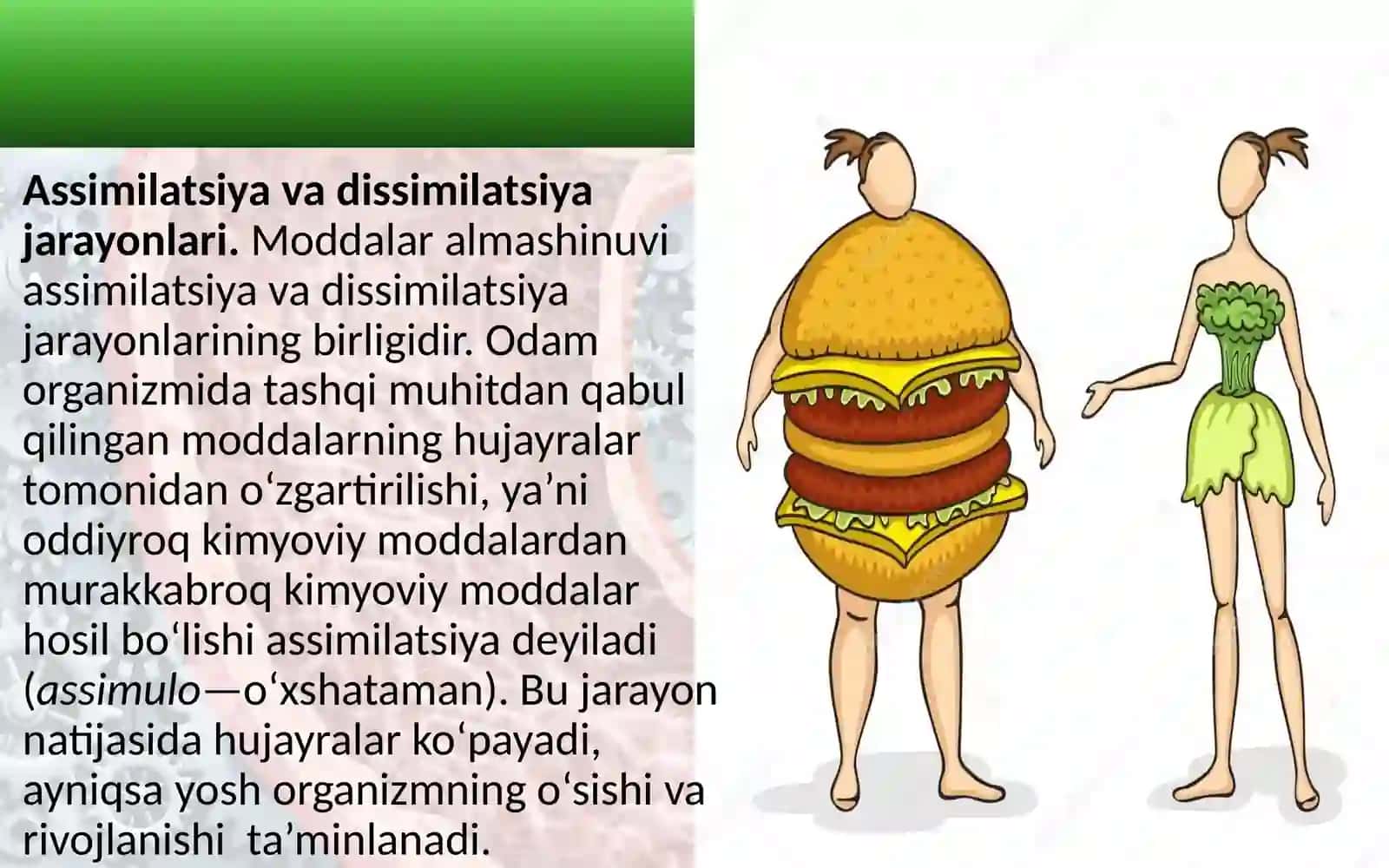 8-sinf Biologiya fanidan Moddalar energiya almashinuvi dars ishlanma 3
