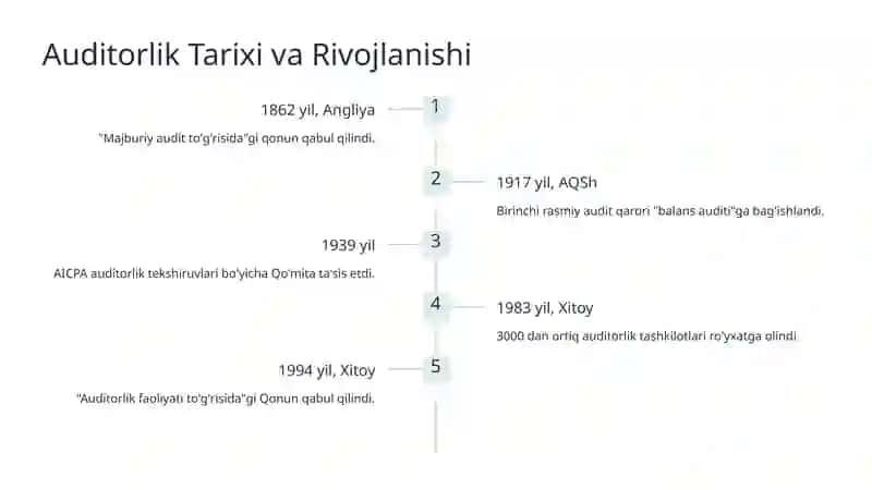 Auditorlik Faoliyatining Huquqiy Asoslari 3