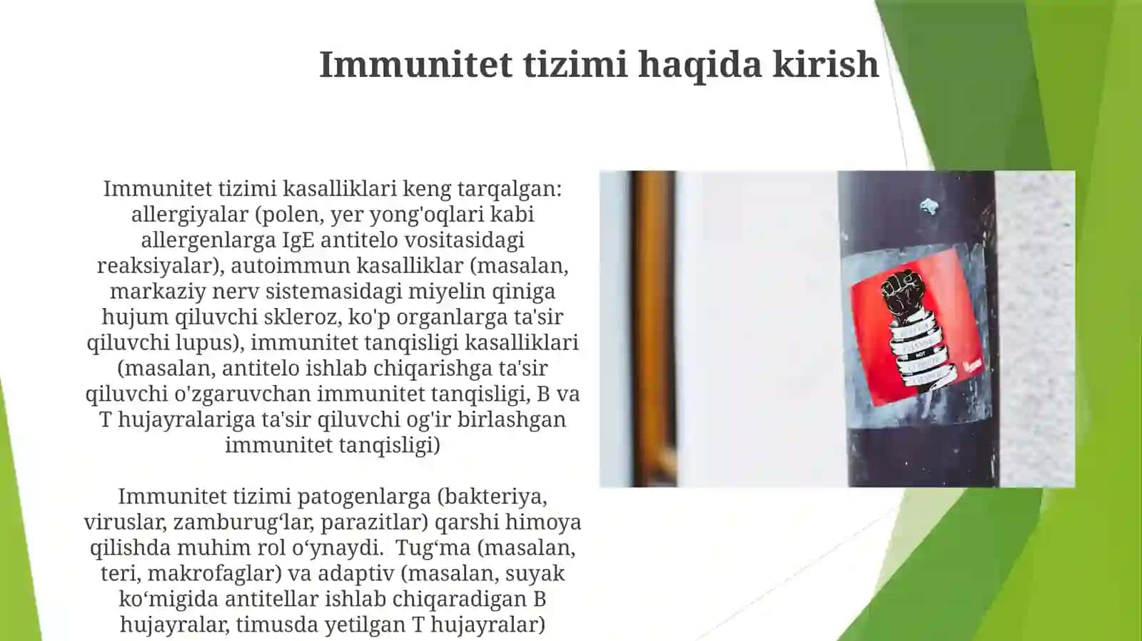 Immunsistemakasalliklari 3