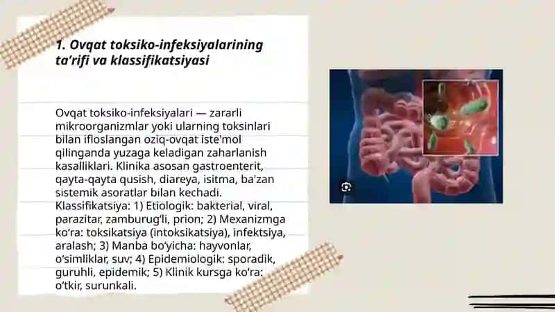 Ovqat toksiko infeksiyalari 3