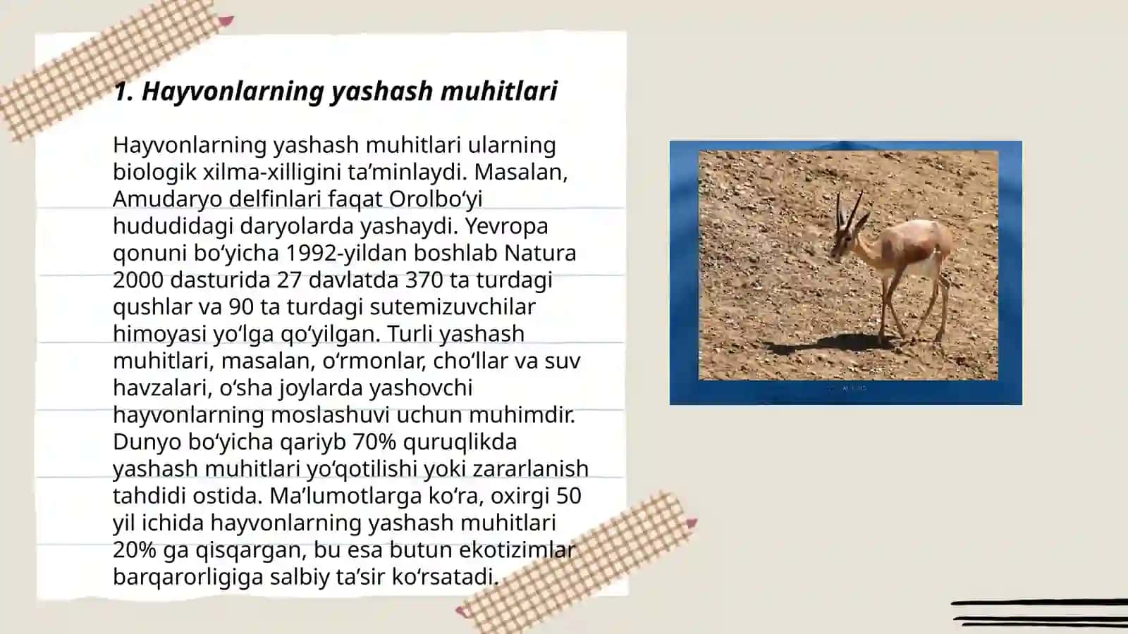 Hayvonot dunyosi 3