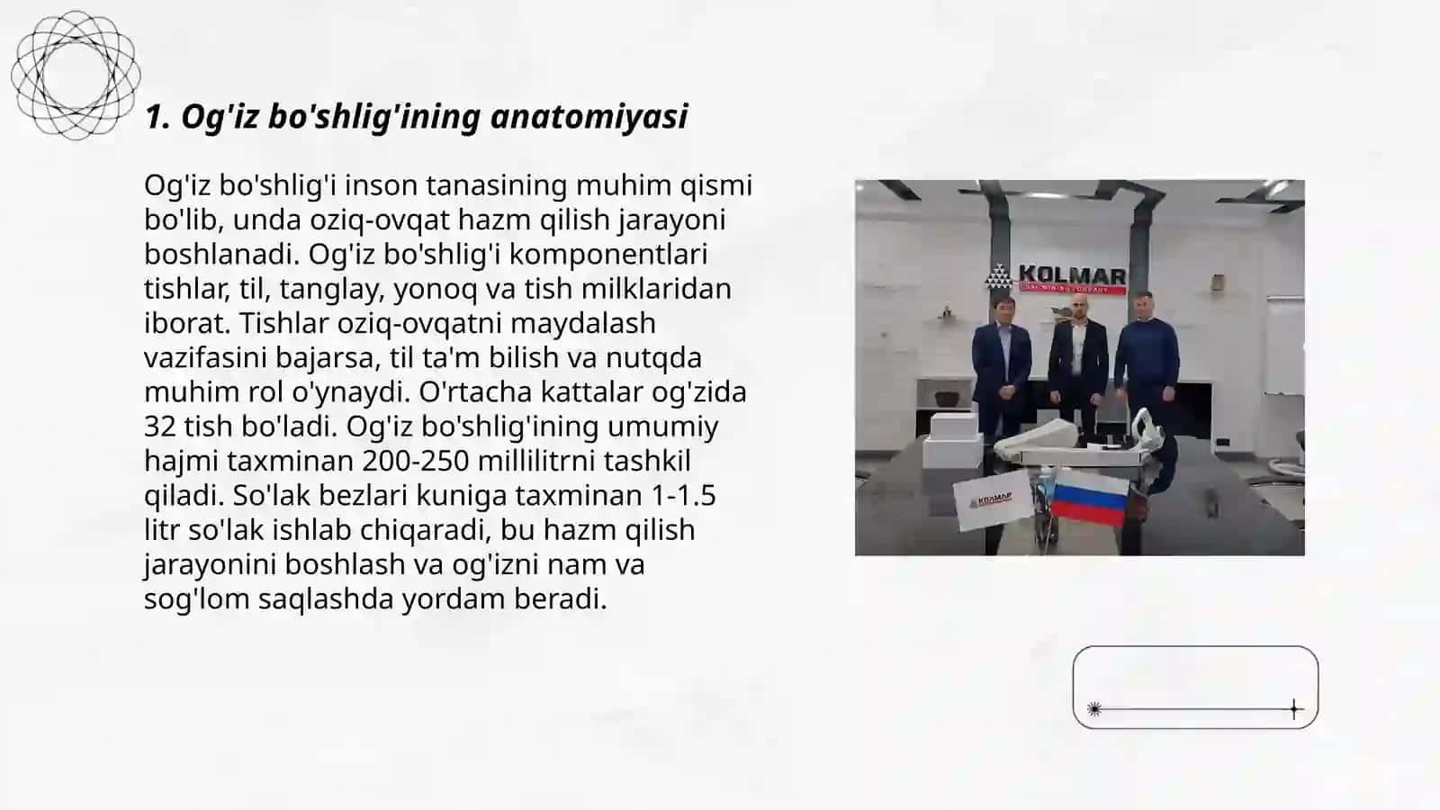 Og'iz bo'shlig'ining anatomiyasi 3