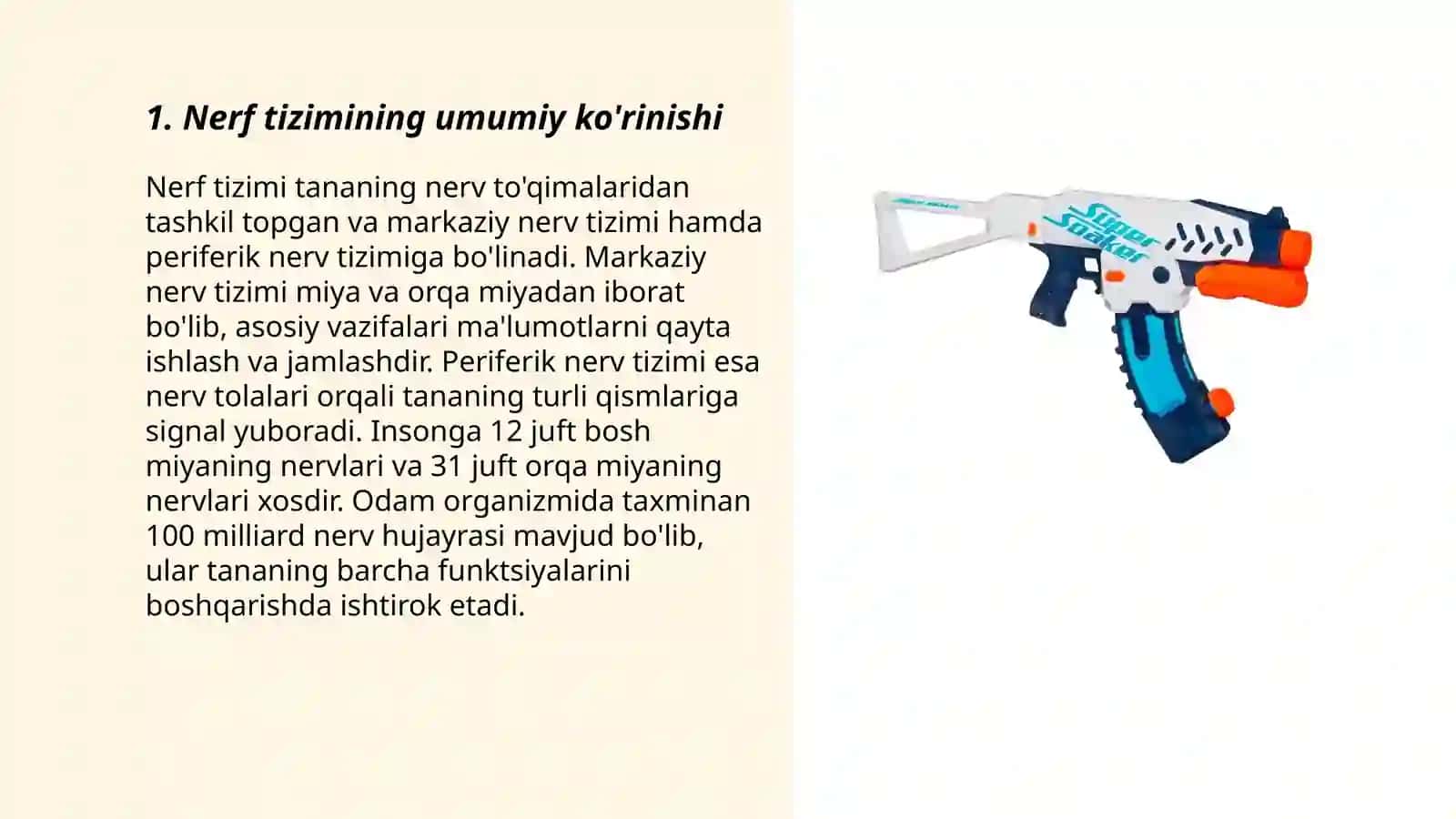 Nerf sistemaning tuzulishi 3