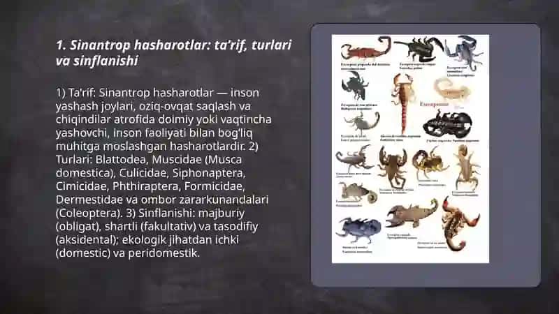 Sinantrop hasharotlar va ularning epedimiologik ahamiyati 3