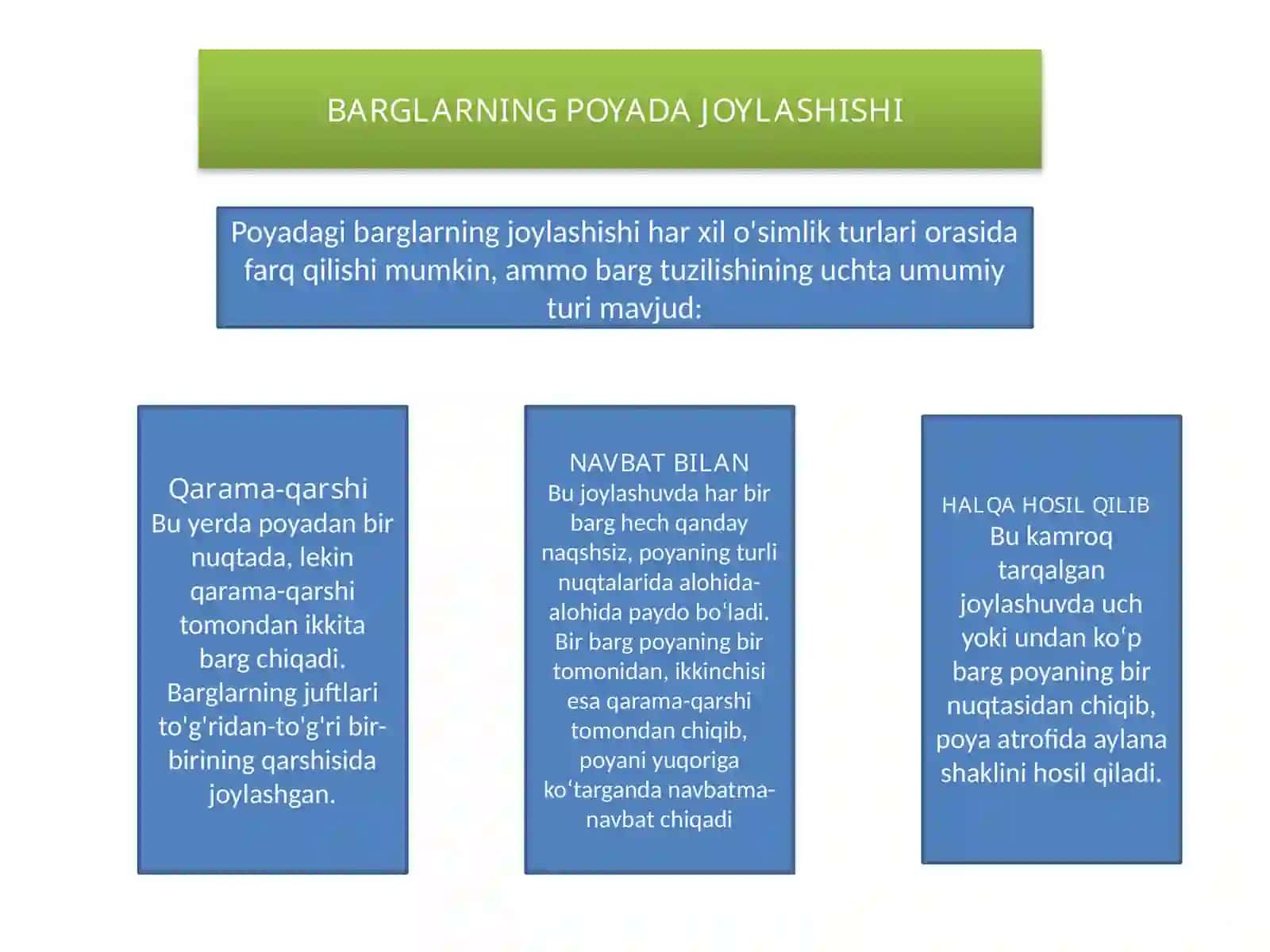 Barglarning morfologik va anatomik tuzulishi 3