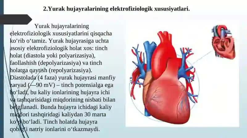 ANTIARITMIK DORI VOSITALARI 3