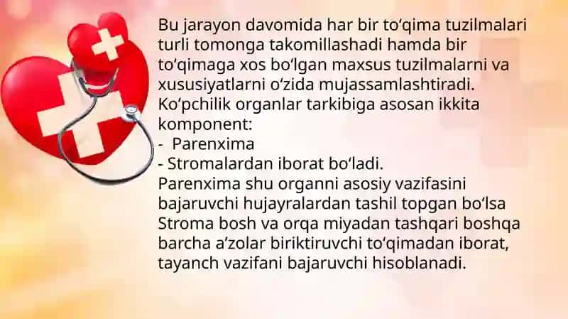 Namangan davlat universiteti Tibbiyot fakulteti Pediatriya ishi PED_BU_241-guruh talabasi 3