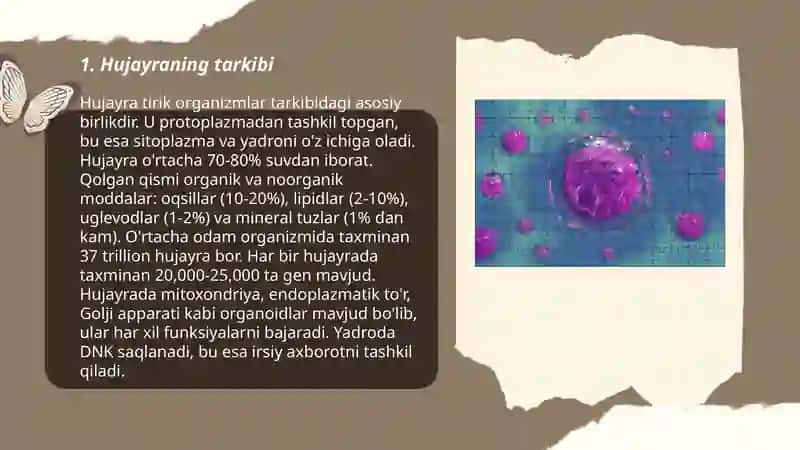 Hujayra biologiyasi 3